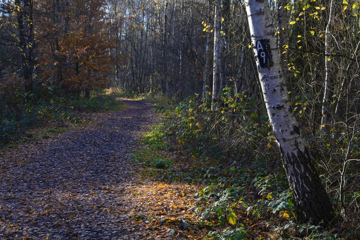 Future-proofing your investment: compatibility and ecosystem